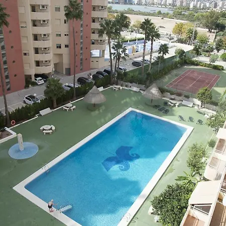 Aguamarina 36c קלפה